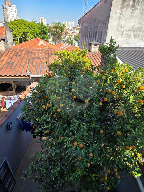 Sobrado à venda com 3 quartos, sendo 1 suíte, em Vila Gustavo, São Paulo, SP