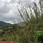 Terreno à venda em Luiz Fagundes, Mairiporã, SP
