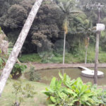 Sítio à venda com 5 quartos, sendo 2 suítes,  em Rosário, Atibaia, SP