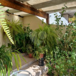 Sobrado à venda com 3 quartos, sendo 1 suíte, em Vila Guilherme, São Paulo, SP