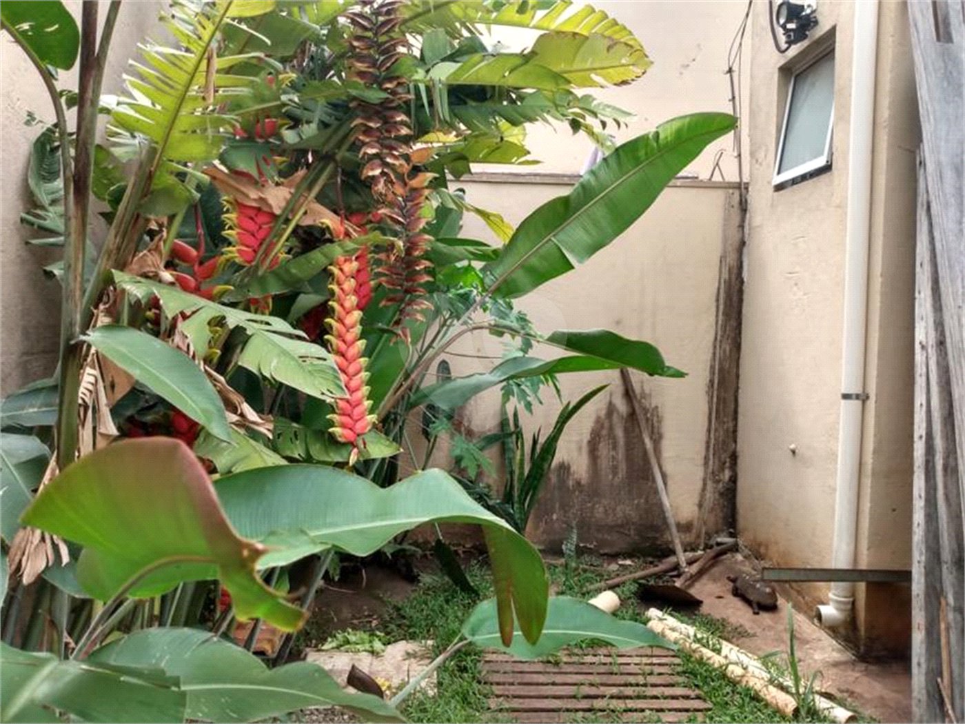 Sobrado à venda com 3 suítes em Jardim Colombo, São Paulo, SP