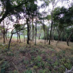Terreno à venda em Chácaras do Guacuri, Itupeva, SP