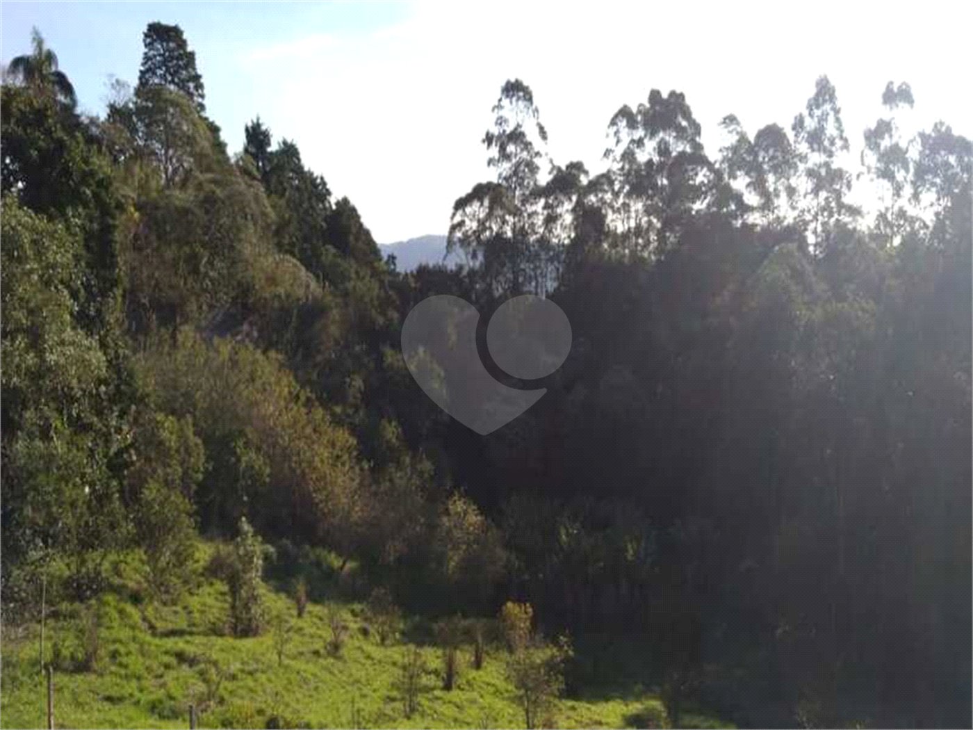 Terreno à venda em Serra da Cantareira, Mairiporã, SP