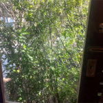 Casa à venda com 3 quartos, sendo 2 suítes, em Morumbi, São Paulo, SP