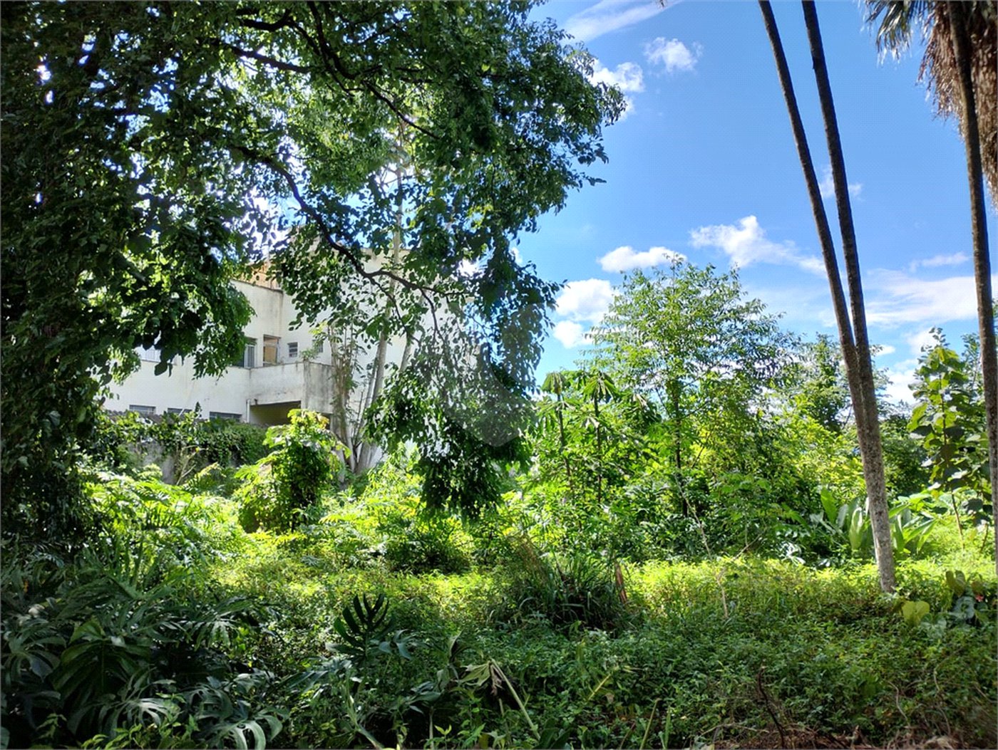 Terreno à venda em Vila Nancy, Mogi das Cruzes, SP