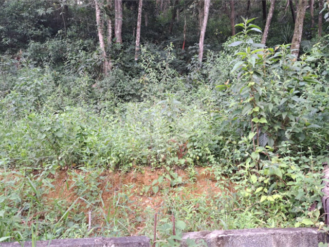 Área de Terra à venda em Terra Preta (terra Preta), Mairiporã, SP