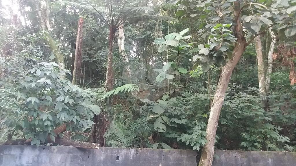 Terreno à venda em Tucuruvi, São Paulo, SP