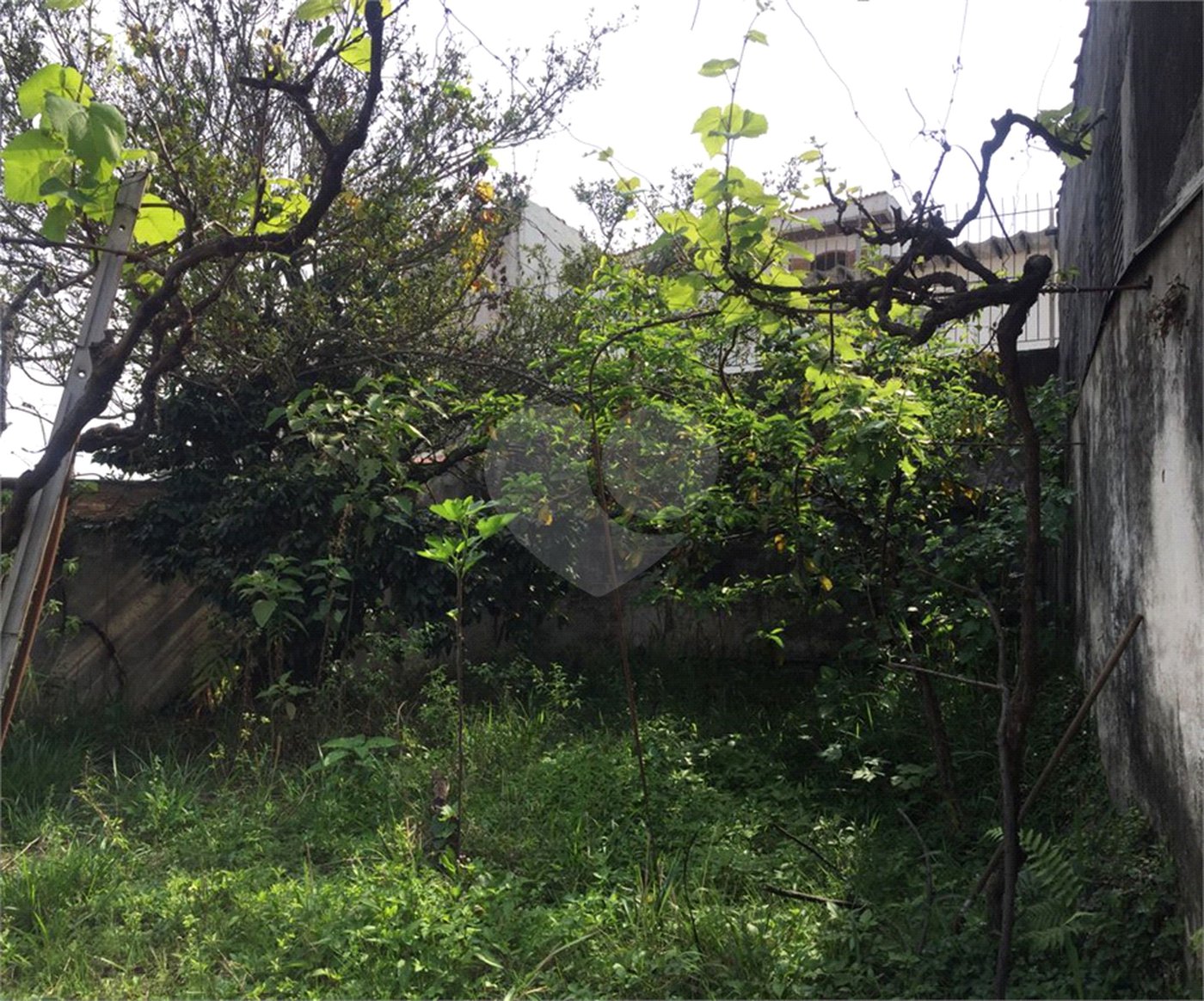 Casa à venda com 3 quartos em Jardim Franca, São Paulo, SP