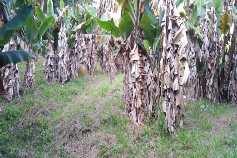 Terreno à venda em Serra da Cantareira, Mairiporã, SP