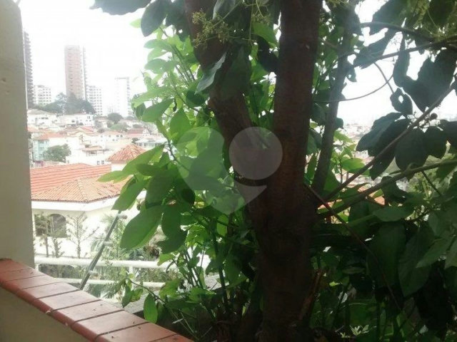 Sobrado à venda com 2 quartos em Jardim Franca, São Paulo, SP
