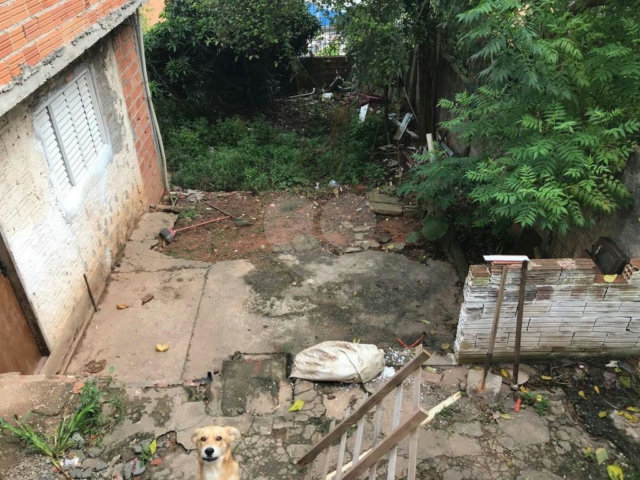 Terreno à venda com 3 quartos em Limão, São Paulo, SP