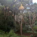 Chácara à venda com 7 quartos, sendo 3 suítes, em Saboó, São Roque, SP