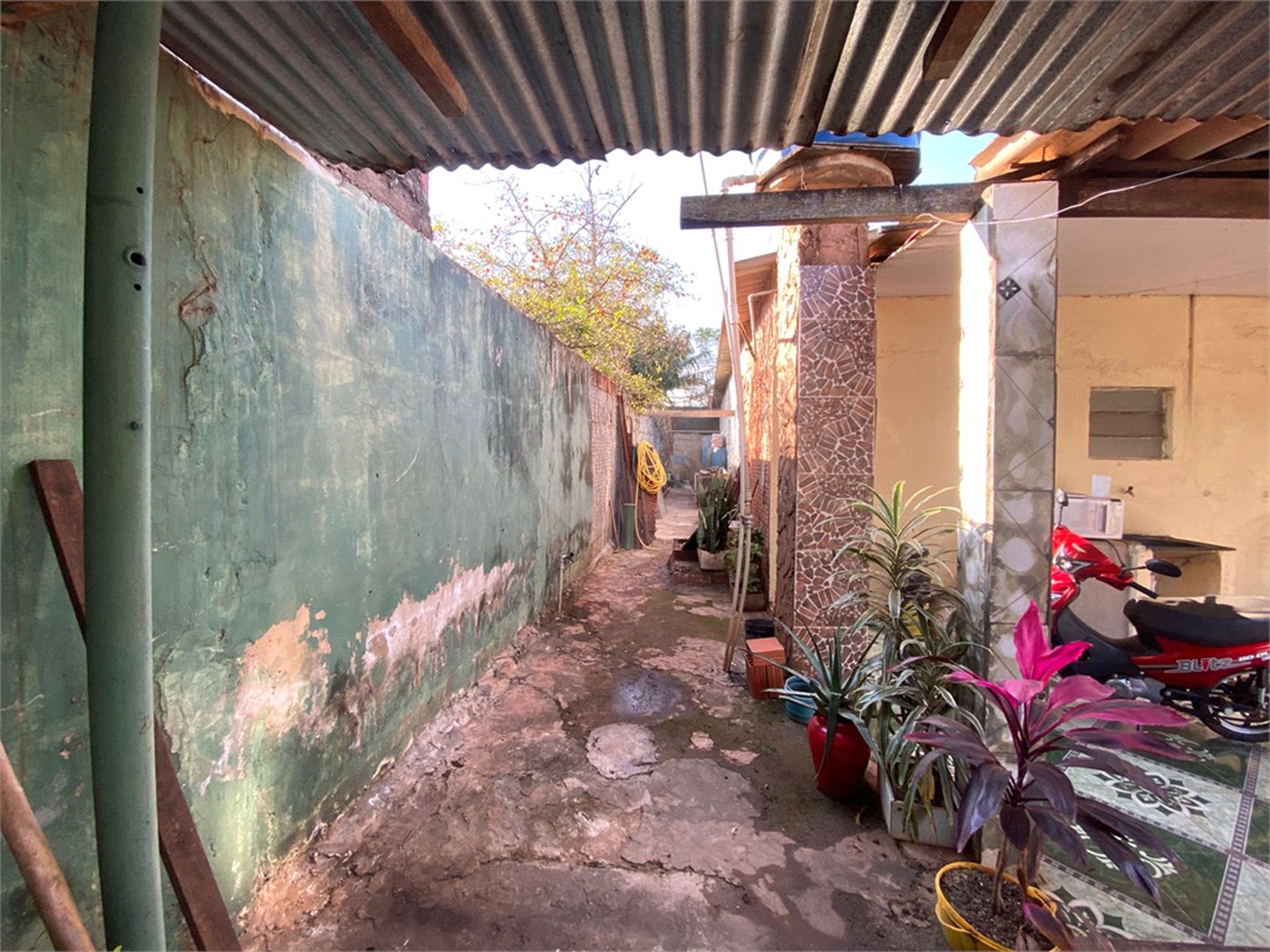 Casa à venda com 3 quartos em Vila Áurea, Ponta Porã, MS