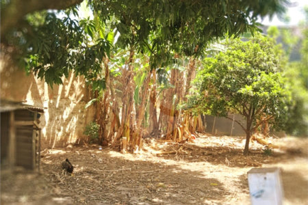 Chácara à venda com 8 quartos, sendo 5 suítes, em Chácara Belvedere, Indaiatuba, SP