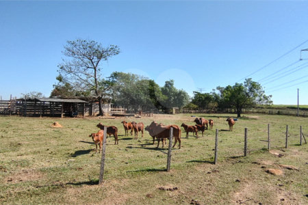 Sítio à venda com 2 suítes em Buru, Salto, SP
