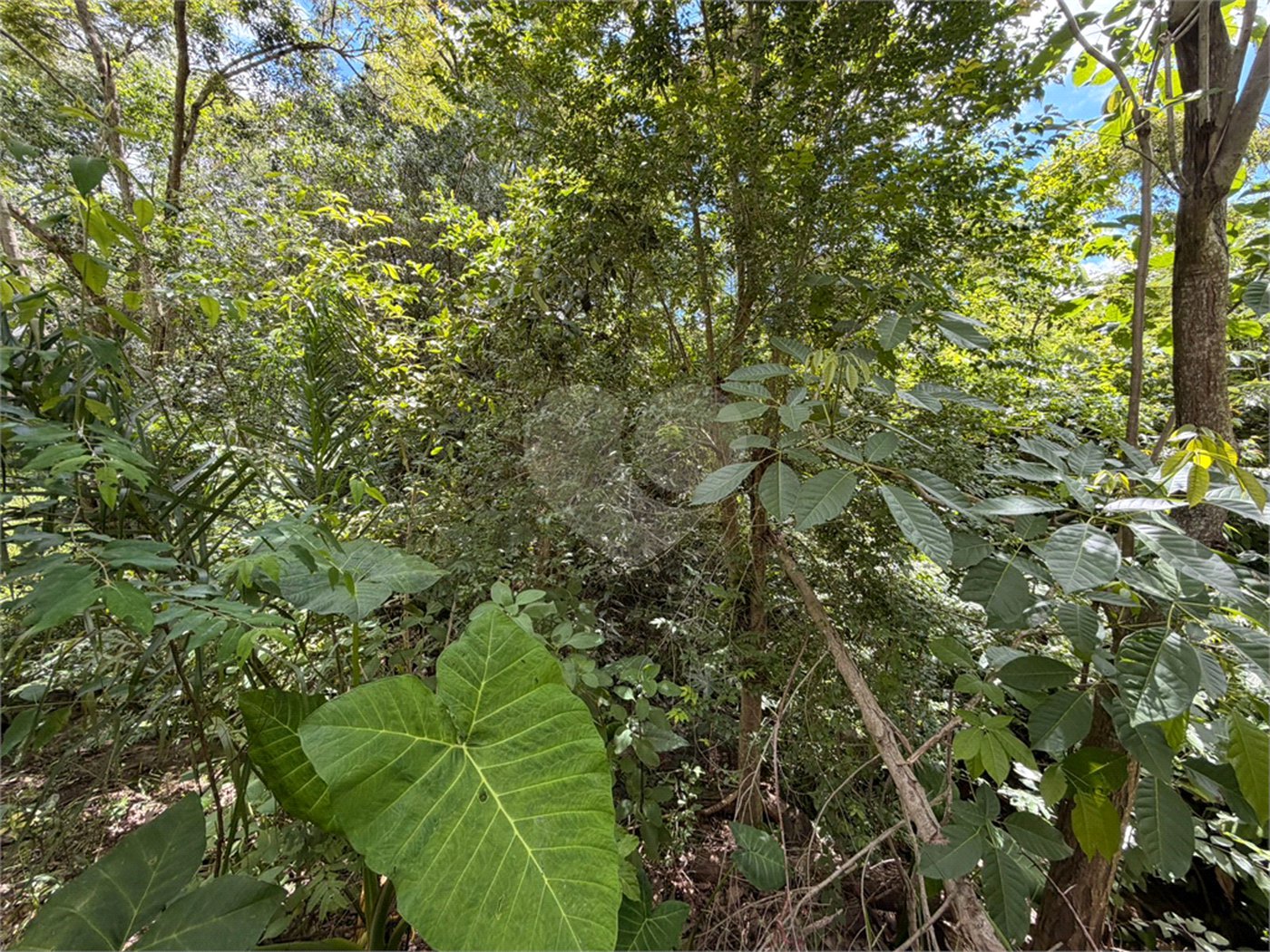 Chácara à venda com 3 quartos, sendo 1 suíte, no Centro, Araçoiaba da Serra, SP