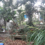 Sobrado à venda com 3 quartos em Vila Guilherme, São Paulo, SP