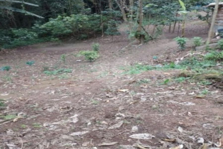 Terreno à venda em Jardim Ampliação, São Paulo, SP