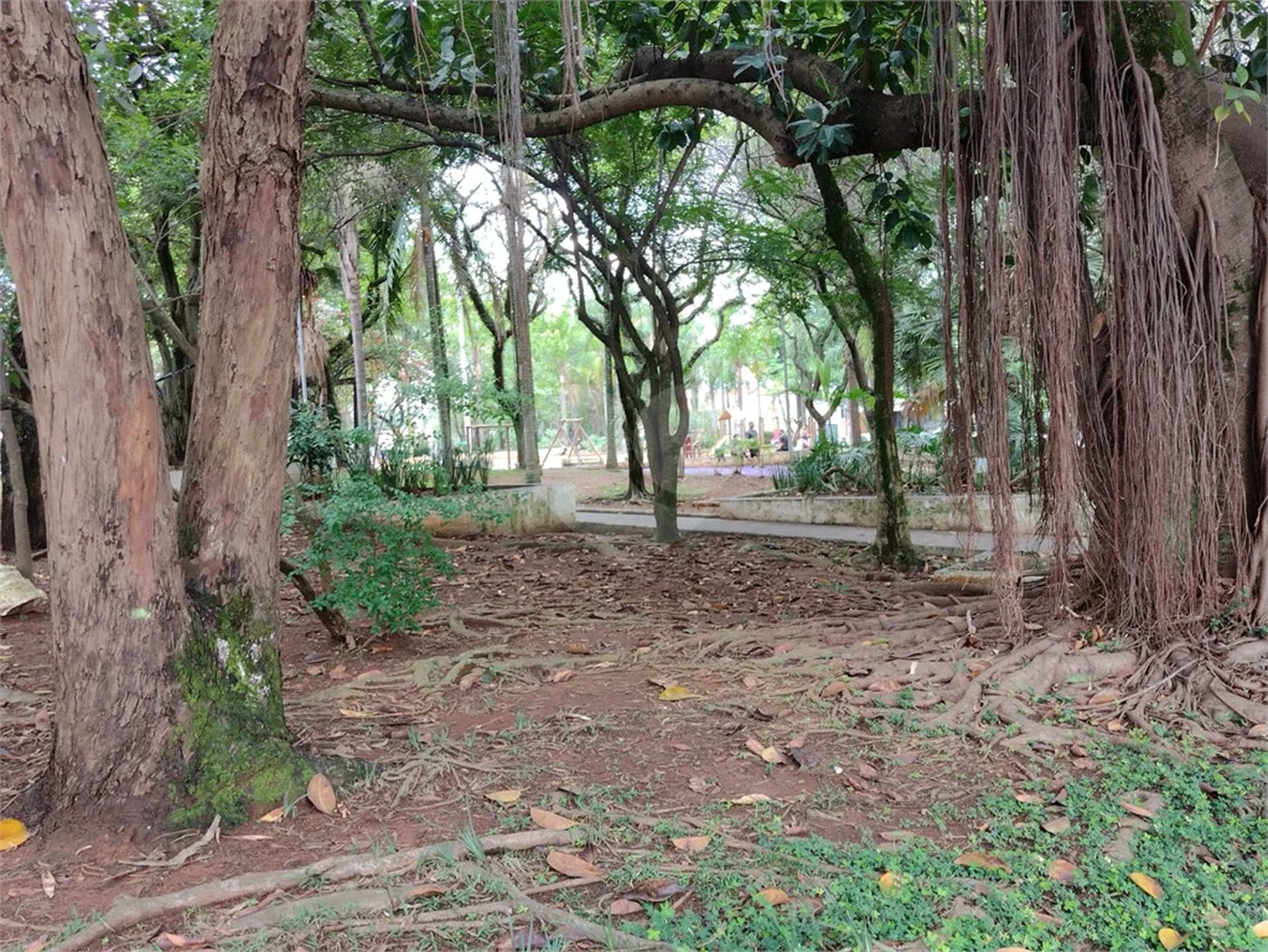 Apartamento Alto Padrão Lazer Completo ,com 3 quartos, 250 m² à venda Parque da Mooca.