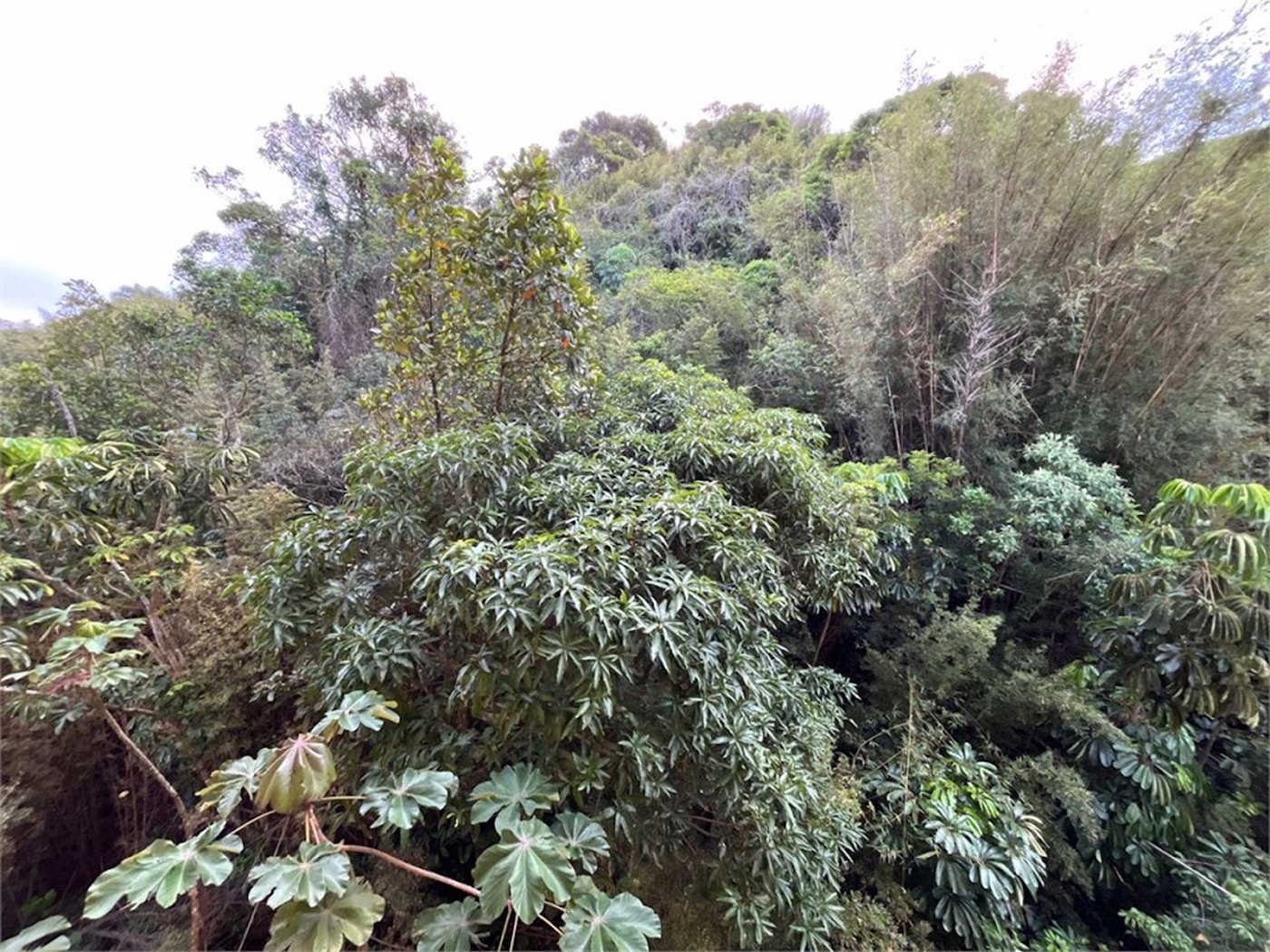 Apartamento Residencial à venda, Barra Funda, Guarujá - AP0311.