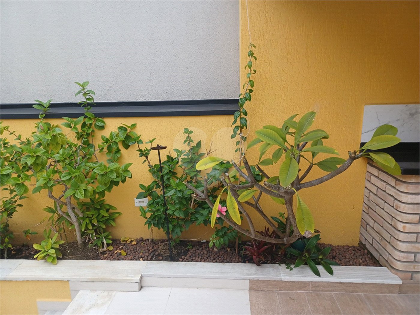 Casa Térrea à venda com 3 suítes em Jardim São Paulo(zona Norte), São Paulo, SP