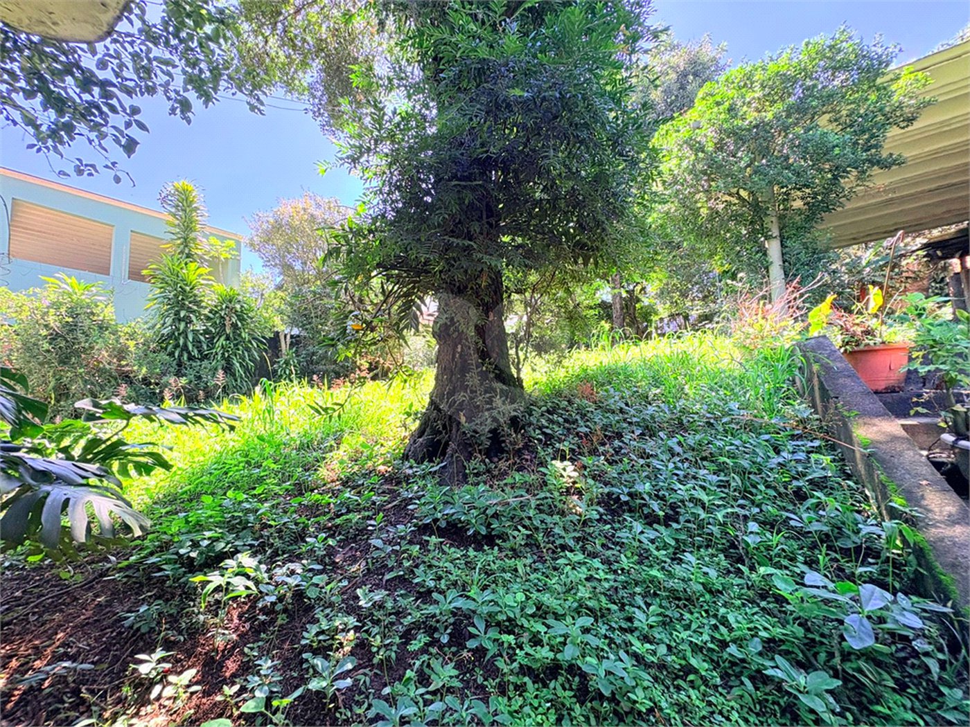 Casa Térrea à venda com 3 quartos, sendo 1 suíte, em Jardim Floresta, São Paulo, SP