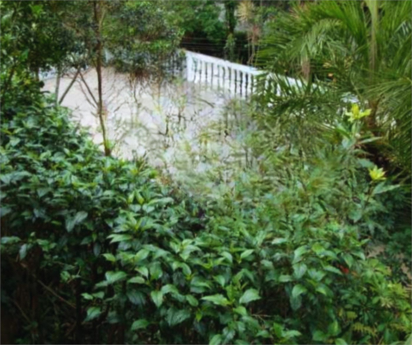 Casa à venda com 3 quartos, sendo 1 suíte, em Roseira, Mairiporã, SP