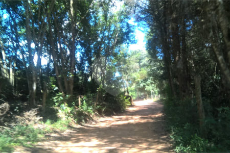 Hotel à venda com 7 quartos, sendo 4 suítes, no Centro, Soledade de Minas, MG