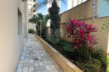 Apartamento à venda com 2 quartos, sendo 1 suíte, em Santa Teresinha, São Paulo, SP