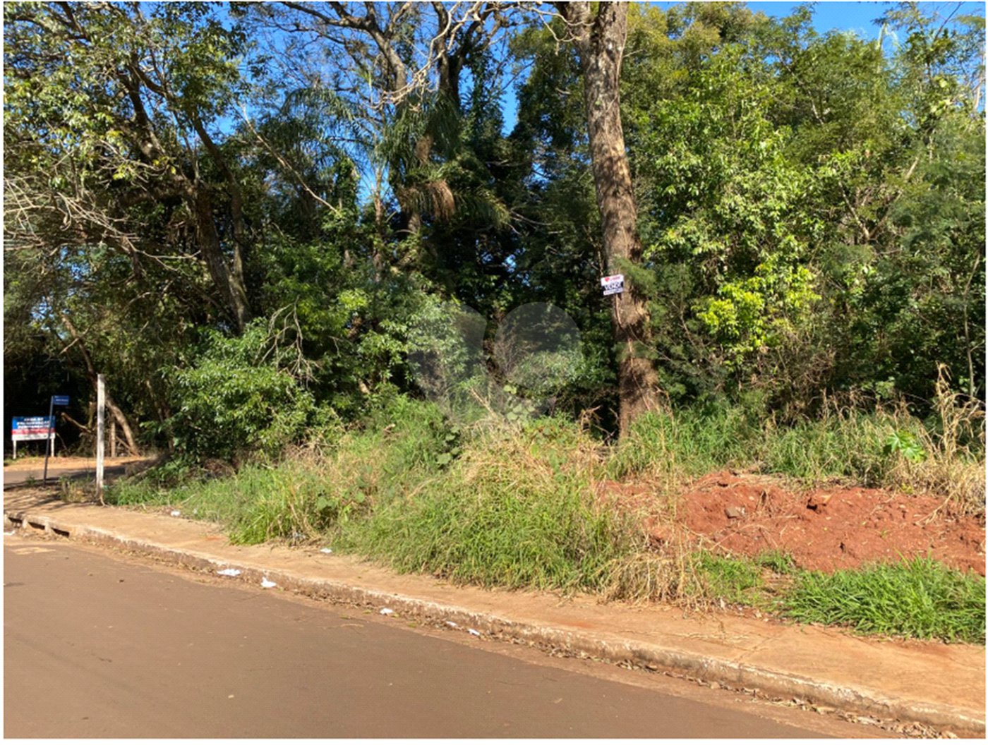 Terreno à venda em Jardim Altos da Glória, Ponta Porã, MS