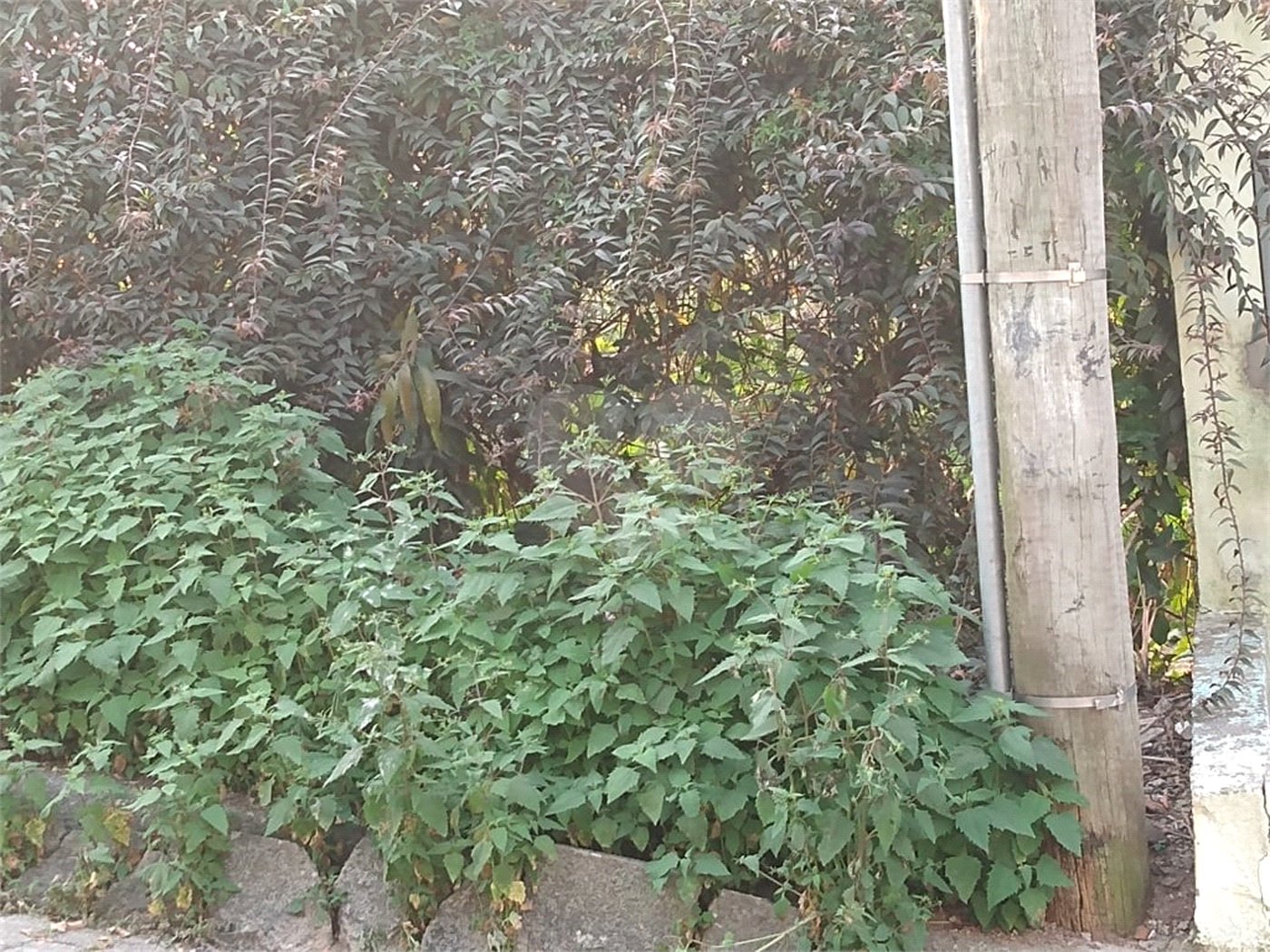 Terreno à venda em Jardim São João (zona Norte), São Paulo, SP