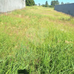 Terreno à venda em Parque Atenas do Sul, Itapetininga, SP