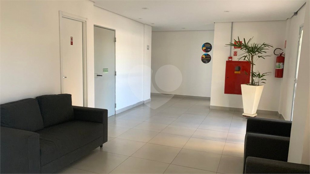 Apartamento à venda com 2 quartos em Vila Nova Cachoeirinha, São Paulo, SP