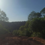 Fazenda Elisa - Fase 3