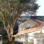 Terreno à venda com 5 quartos em Chácara Califórnia, São Paulo, SP