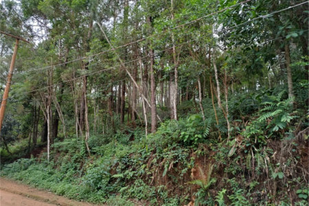 Terreno à venda no Centro (mailasqui), São Roque, SP