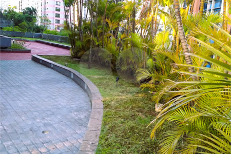 Apartamento à venda com 4 suítes em Vila Andrade, São Paulo, SP