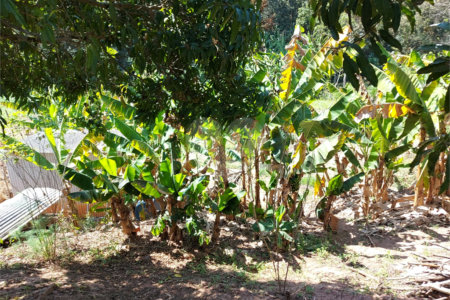 Chácara à venda com 4 quartos em Área Rural de Louveira, Louveira, SP