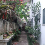 Sobrado à venda com 3 quartos, sendo 1 suíte, em Horto, São Paulo, SP