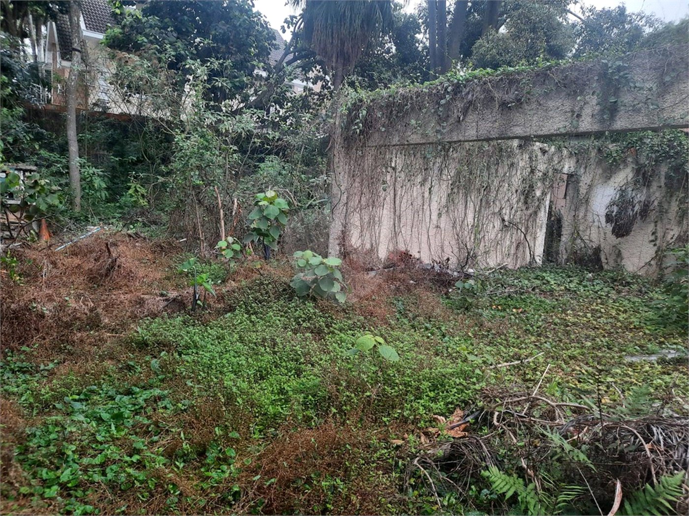 Terreno à venda em Alto da Boa Vista, São Paulo, SP