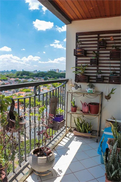 Apartamento à venda com 3 quartos, sendo 1 suíte,  em Vila Gomes, São Paulo, SP