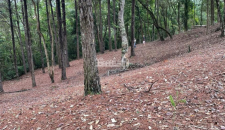 Terreno à venda no Condomínio Rancho Maringá II – Portão, Atibaia/SP | 1.600 m² em meio à natureza