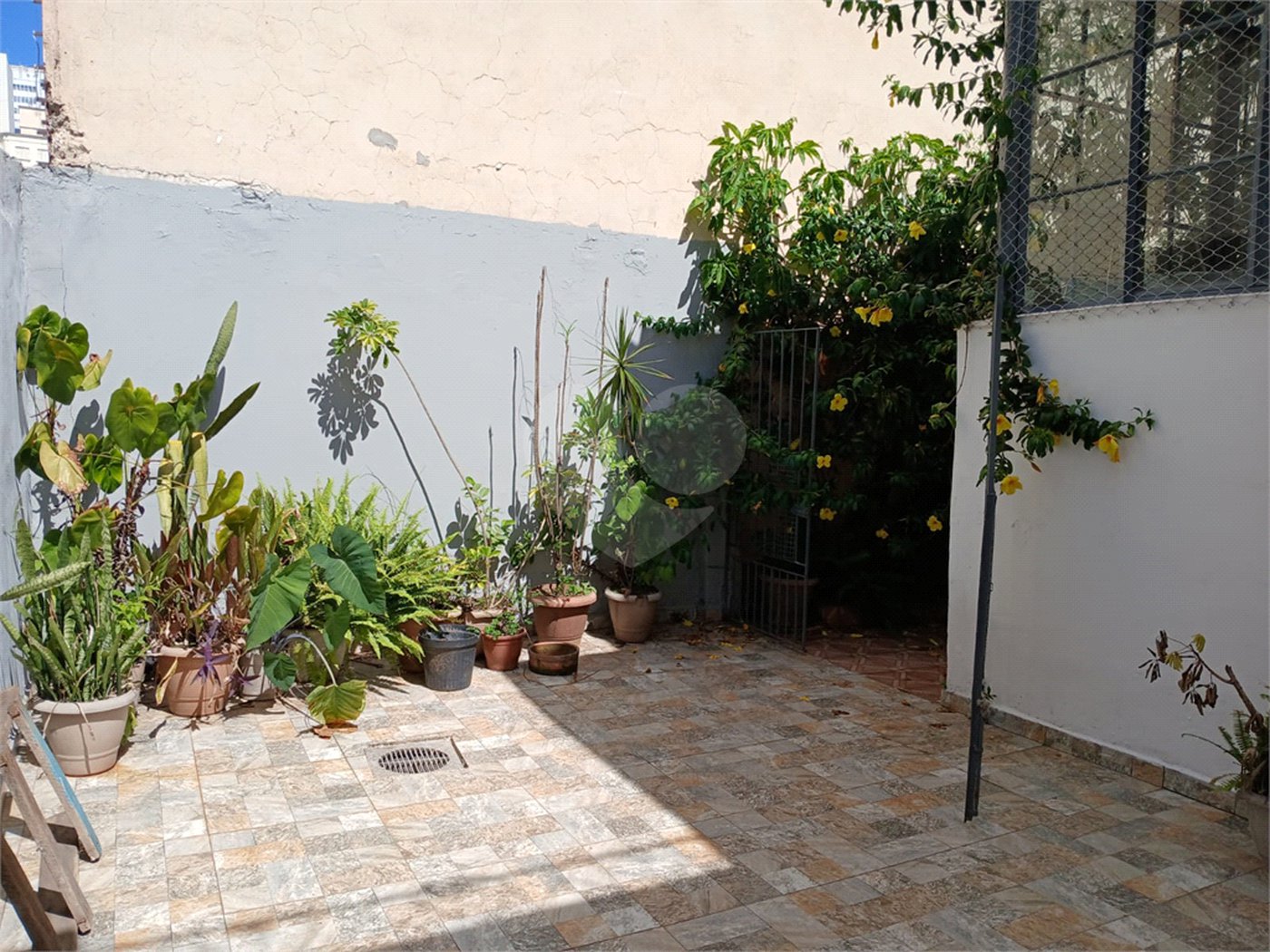 Casa térrea à venda no Pacaembú com 3 dormitórios