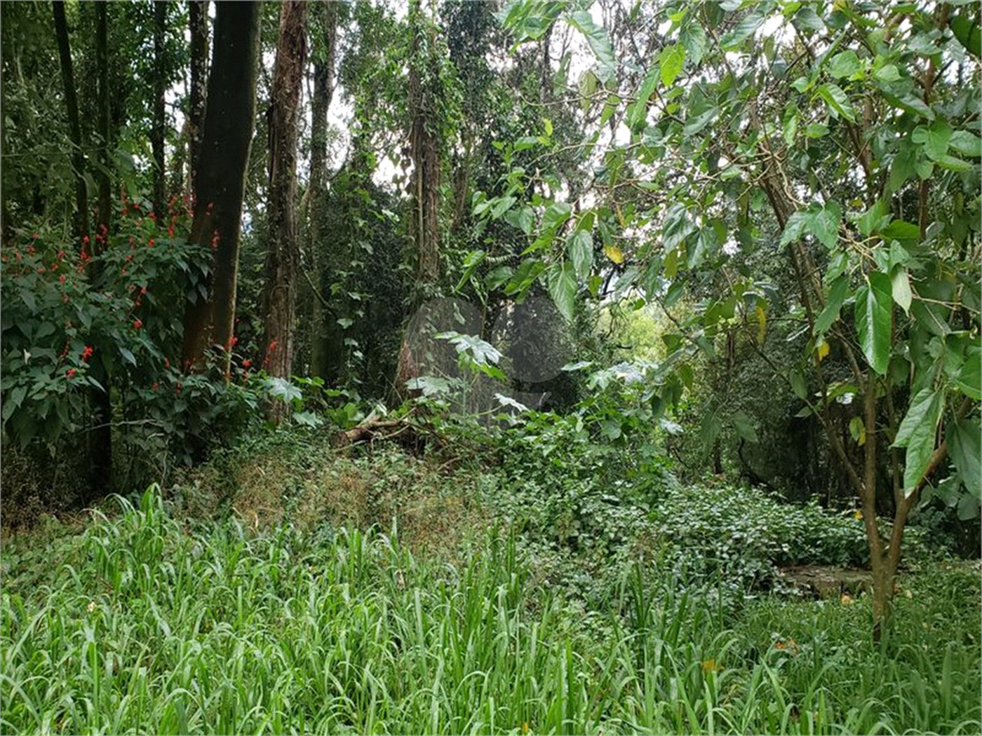 Terreno à venda em Serra da Cantareira, Mairiporã, SP