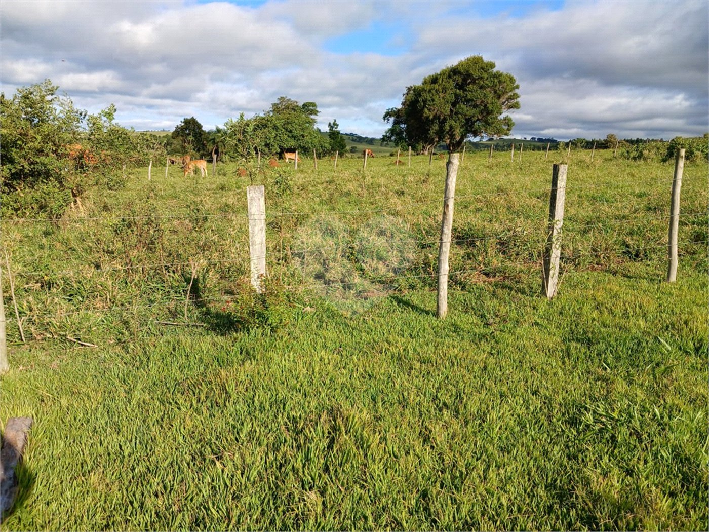Terreno à venda em Área Rural de Guareí, Guareí, SP