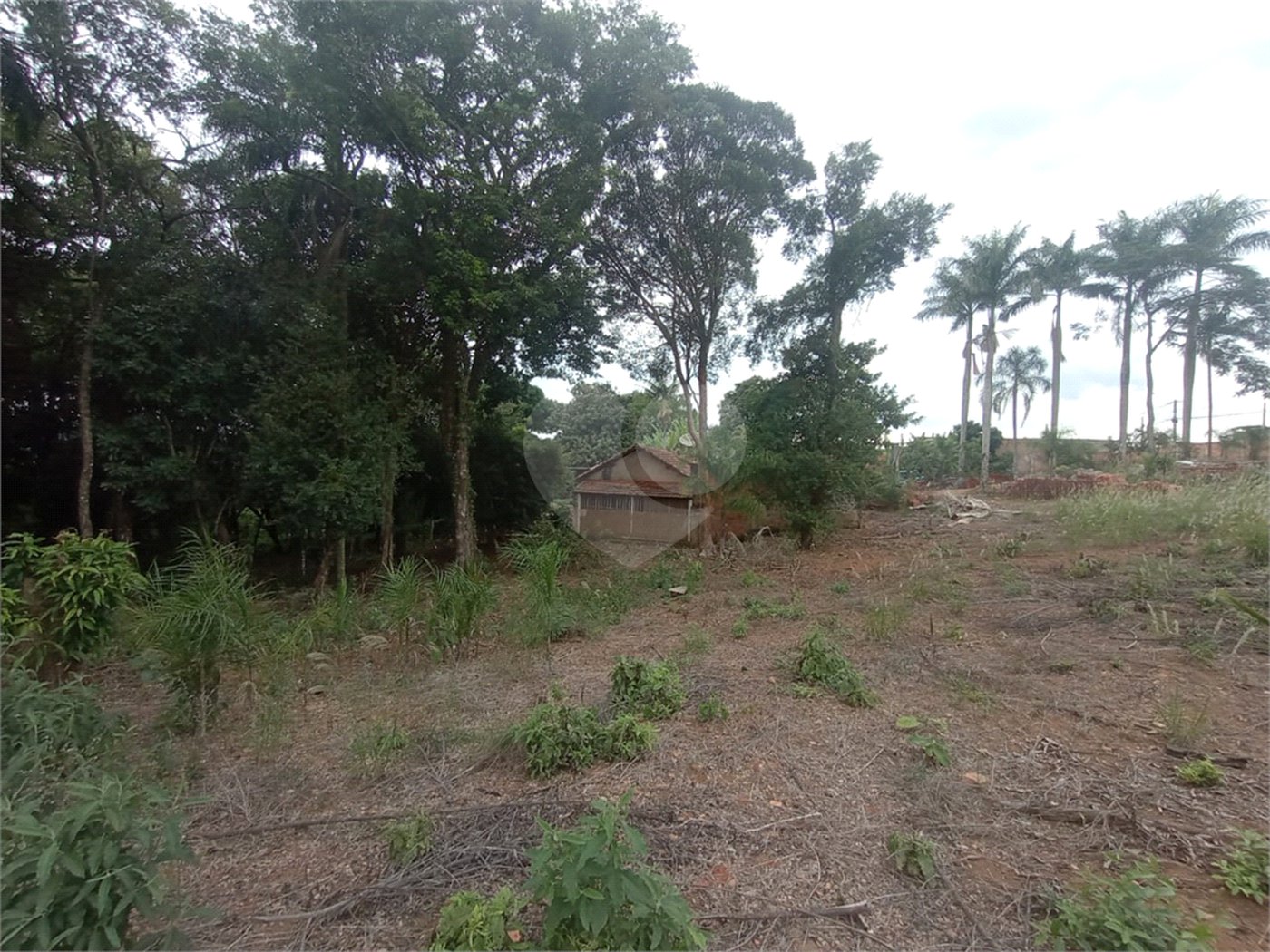 Chácara à venda com 3 quartos em Vila Belo Horizonte, Itapetininga, SP