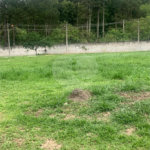 Terreno à venda no condomínio Residencial Veneza, Mogi das Cruzes - SP