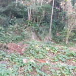 Terreno à venda no condomínio Sausalito, Mairiporã - SP