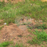 Terreno à venda em Cidade Nova, Bom Jesus dos Perdões, SP
