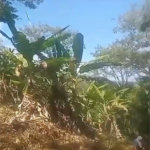 Terreno Residencial à venda, , - TE0030.